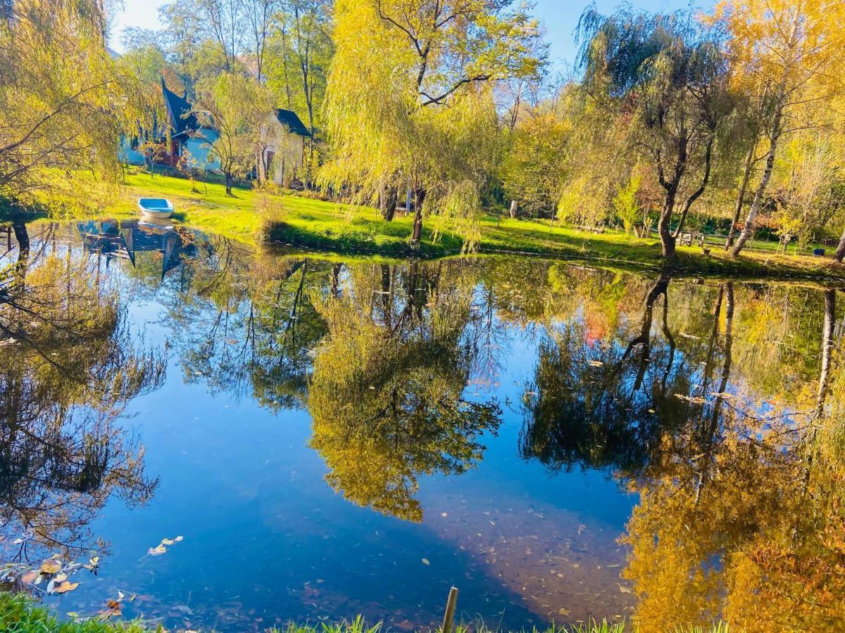 Viewtopia The Secret Land Valea Drăganului Exteriér fotografie