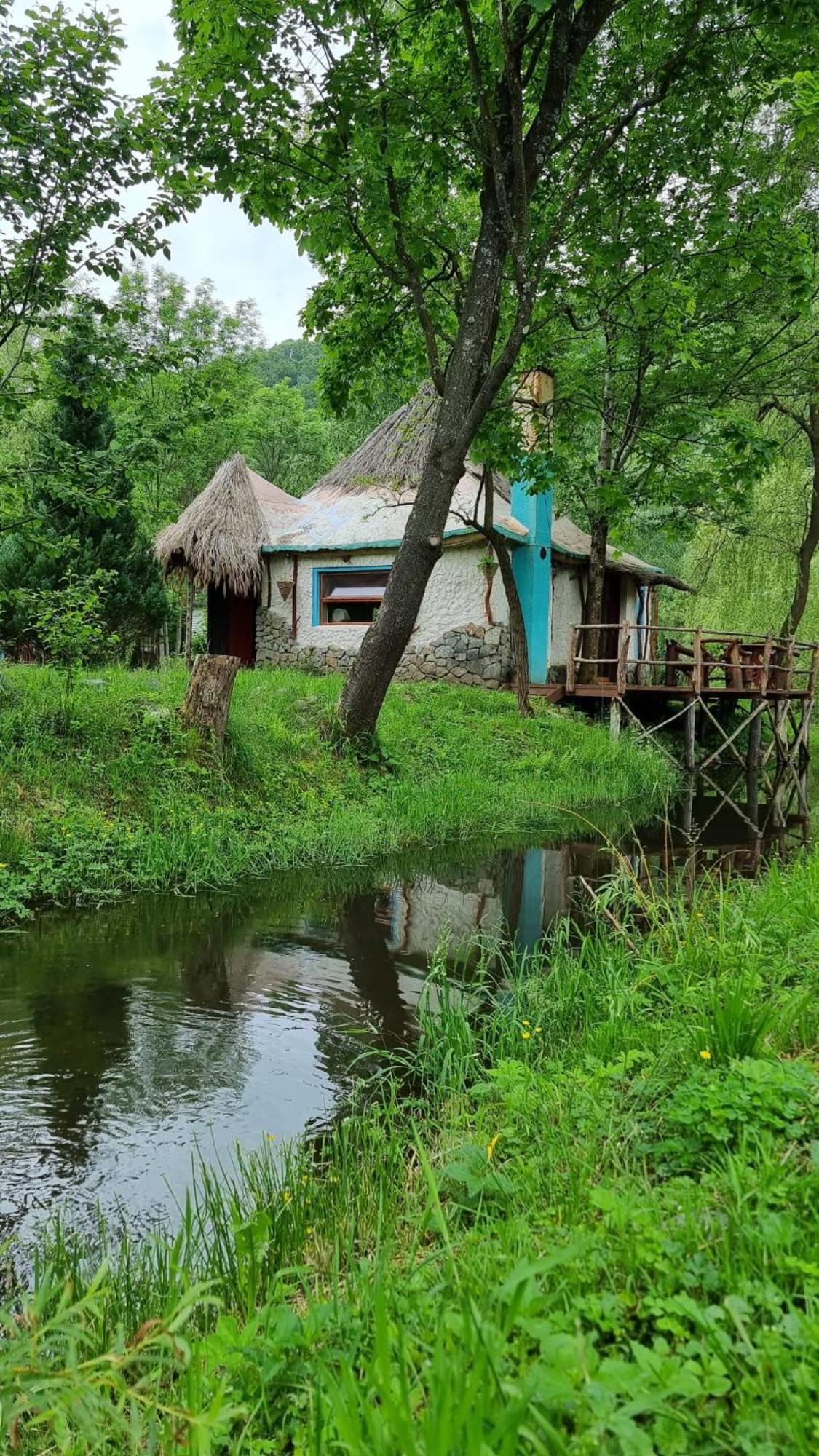Viewtopia The Secret Land Valea Drăganului Exteriér fotografie