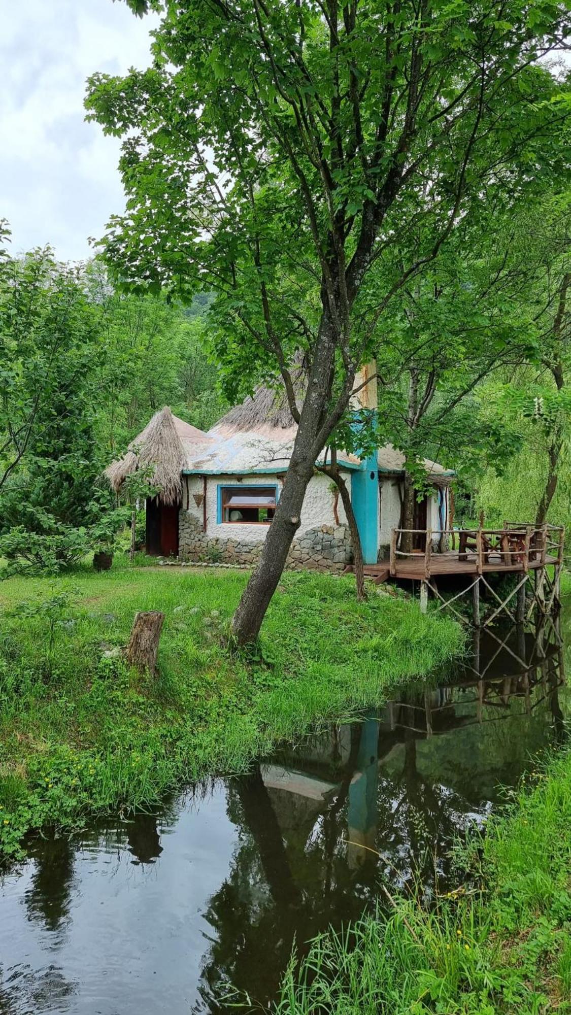 Viewtopia The Secret Land Valea Drăganului Exteriér fotografie